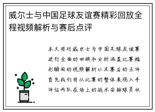 威尔士与中国足球友谊赛精彩回放全程视频解析与赛后点评