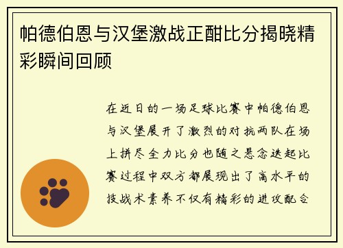 帕德伯恩与汉堡激战正酣比分揭晓精彩瞬间回顾